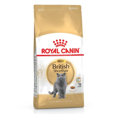 Royal Canin Seca British Shorthair Adulto